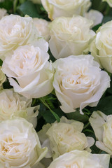 isolated close-up of a huge bouquet of white roses. White roses Flower Arrangement. vertical photo