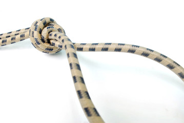 Elastic strap on white background.(with Clipping Path).