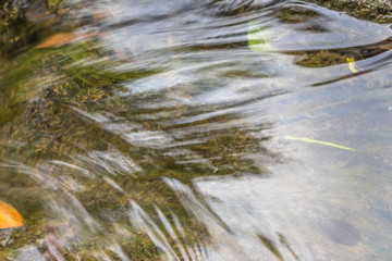 Autumn clear stream with fallen leaves close-up
