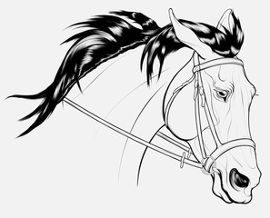 Linear portrait of a wary long maned stallion, laid its ears back. Head of a running steed in English bridle with a snaffle bit. Vector clip art for cross-country equestrianism and show jumping clubs.