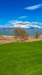 Panorama Lush green field in front of a lake with grassy shore viewed on a sunny day