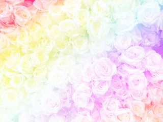 Blurred of sweet roses in Rainbow color style on soft blur bokeh texture for background