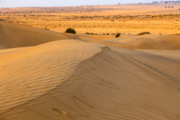 Fototapeta na wymiar Sand dunes under blue sky