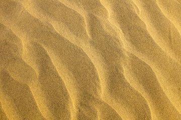 Fototapeta na wymiar Sand desert texture