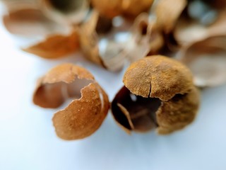 Macro close up on chickpea rinds