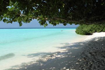 Spiaggia e mare maldiviani