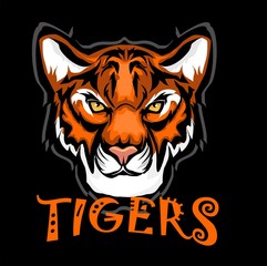 Vector head tiger sport emblem, isolated on black background.
