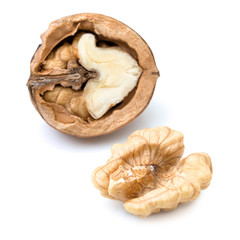 Single half of walnut with half in nutshell, isolated on white background with shadow reflection. Macro photography, detail shot. Close shot of walnut in nutshell. Studio shot. Walnut in nutshell