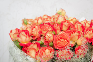 Large beautiful bouquet of orange roses in the package