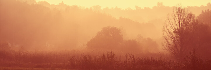 Rustic meadow in the autumn fog in an early sunny morning.