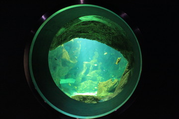 aquarium