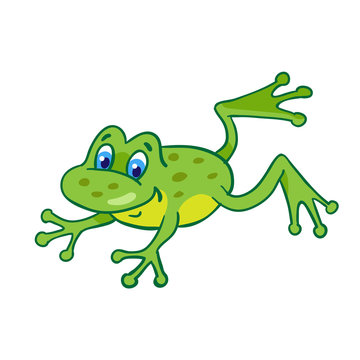 Little funny frog jumping.   Isolated on a white background.