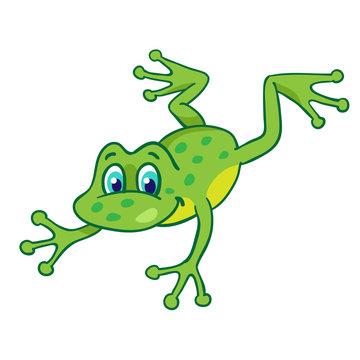Little funny cartoon frog  jumping.   Isolated on a white background.