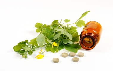 Schöllkraut naturheilkund