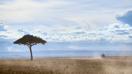 Fototapeta na wymiar Acacia Tree and a Safari Landcruiser in Masai Mara