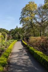 Fototapeta na wymiar Spring garden with walking path and trees