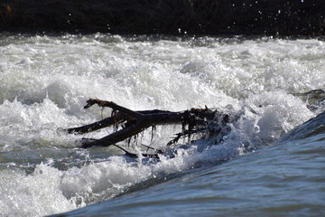 Fototapeta premium Stromschnellen im Fluss, glänzend im Sonnenlicht