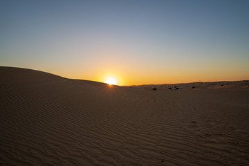 Obraz na płótnie Canvas Sunset at dune in Dubai desert scene