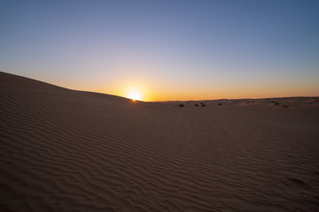 Fototapeta na wymiar Sunset at dune in Dubai desert scene