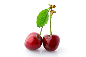 Obraz premium Ripe sweet cherry berries close up.