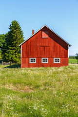 Fototapeta na wymiar Red barn at a flowering meadow in an idyllic summer landscape