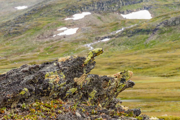 Fototapeta premium Rock formation with lichens in a mountain landscape