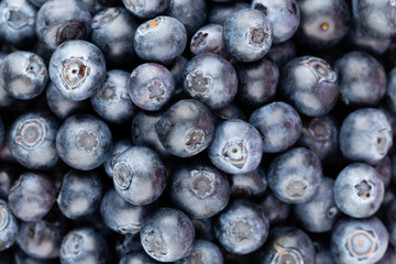 Fresh blueberry background. Texture blueberry berries close up.