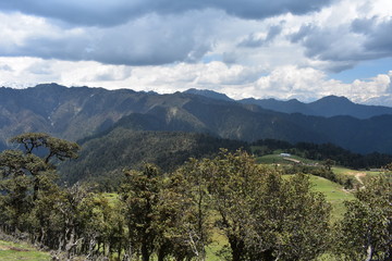 himalaya nature in panwali bugyal
