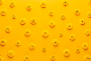 Yellow flower pattern on a yellow background.  Spring greeting card.