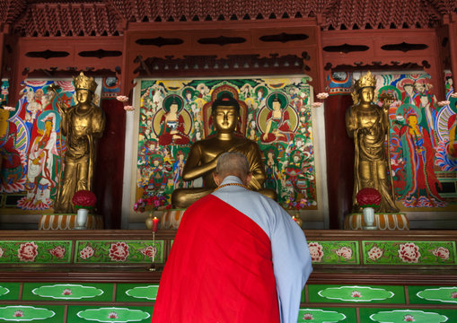 Rear view of a North Korean monk praying in Pohyon-sa Korean buddhist temple, North Pyongan Province, Myohyang-san, North Korea