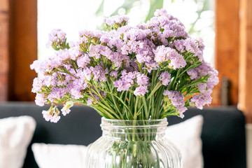 statice flower in vase