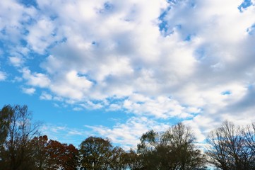 Obraz premium 風景 冬 空 森 茨城