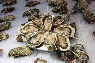fresh oysters on ice
