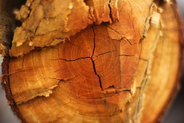 wooden scratches texture