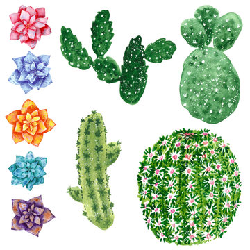 Clipart set with green cactuses and flowers of blue, pink, orange and purple flowers, hand drawn watercolor illustration isolated on white