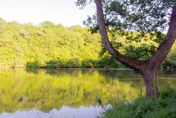 Pond. City Park. Resting-place.