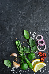 Variety of spices : herbs, garlic, black pepper, lemon, sea salt and red onion . Top view with copy space.
