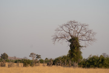 Obraz premium Afrika Tour