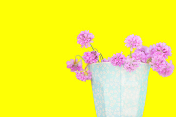 glowing yellow Hintergrund, rosa, pink Blumen in einem hellblauen Becher