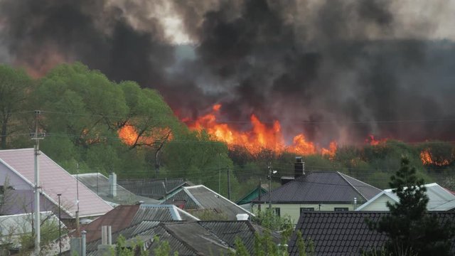 Strong forest fire, heavy smoke and open fire.