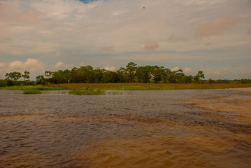 Manaus, Amazonas, Brazil: The merger of the two colored river, Rio Negro, Solimoes.