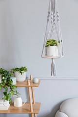 Stylish and minimalistic boho interior of living room with wooden shelf, gray sofa, design and elegant accessories, hand made macrame shelf planter hanger. Botany and home decor with a lot of plants.