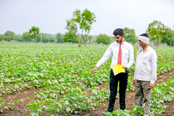 agronomist with farmer at cotton field