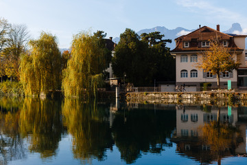 Picture of a Swan on a Lake in the Scottish Highlands