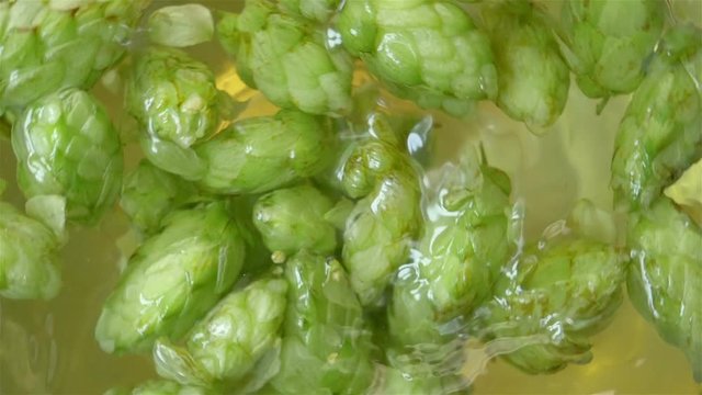 Swirl of water with hops in slow motion 180fps