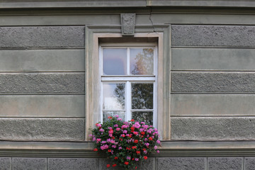 Beautiful window with flower box on top, Switzerland