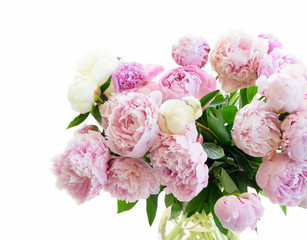 Fresh peony flowers