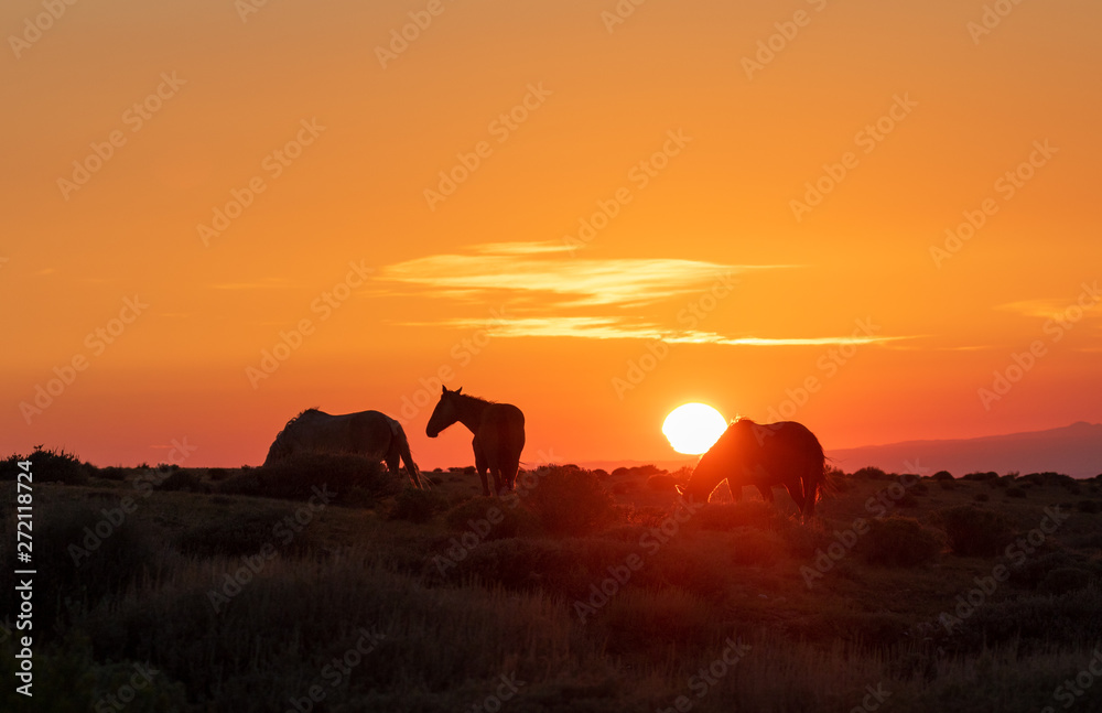 Poster Wild Horses in a Beautiful High Desert Sunrise