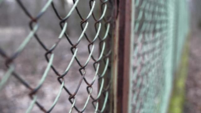 Rusted Fence Close-Up Shallow Focus