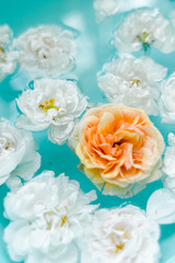 stunning floral texture of roses in water on blue background
